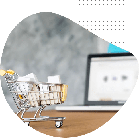 Ecommerce website Development