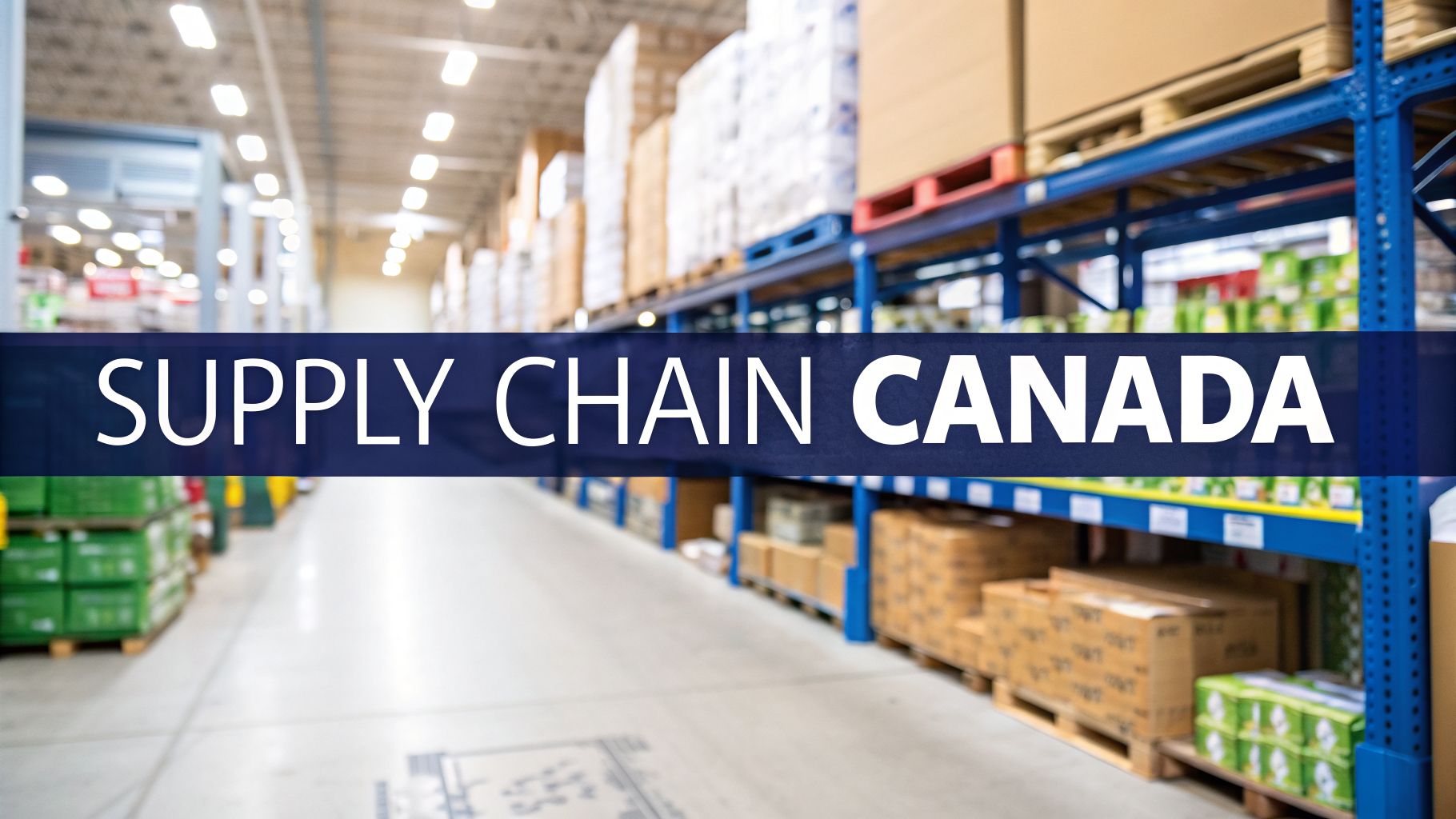 supply-chain-software-for-retail-in-canada-warehouse